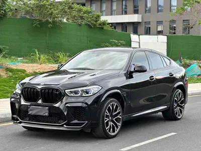 BMW X6 M