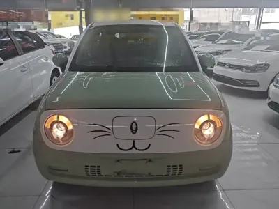 ORA Ora Black Cat