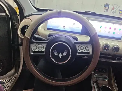 Wuling Bingo