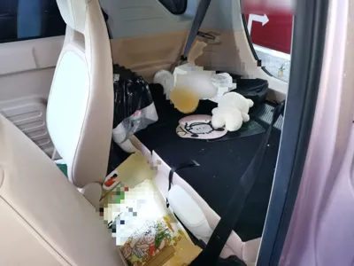 Geely Galaxy Panda