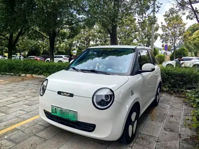 Qiyuan Lumin