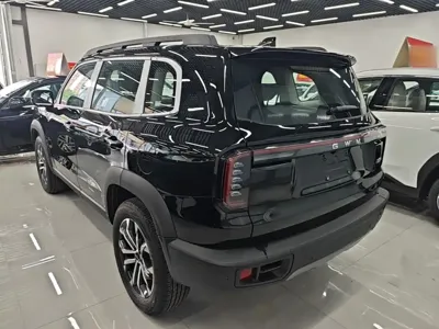 Haval Big Dog