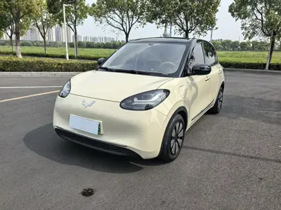 Wuling Bingo
