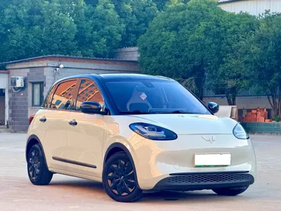 Wuling Bingo