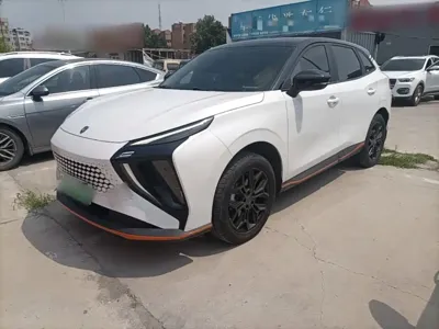 Fengxing Fengxing Leiting