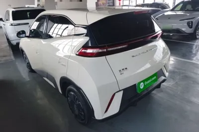 BYD Seagull