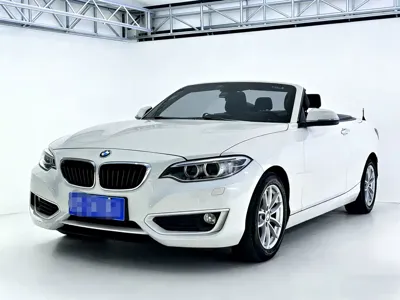 BMW 2 Series (Import)