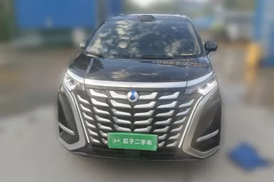 Denza D9
