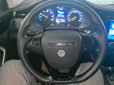 Venucia D60 EV