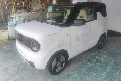 Geely Galaxy Panda