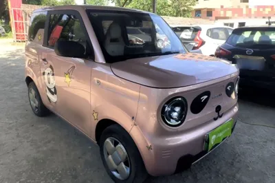Geely Galaxy Panda