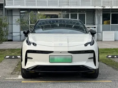 Zeekr X
