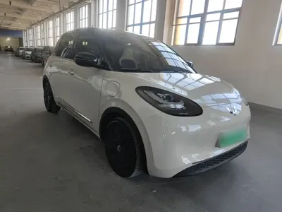 Wuling Bingo