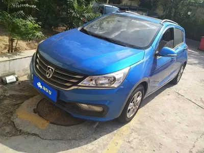 Baojun 310