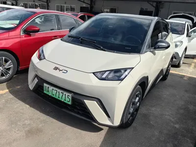 BYD Seagull