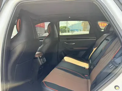 BYD PLUS