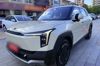 Dongfeng NAMMI 06