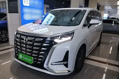 Denza D9