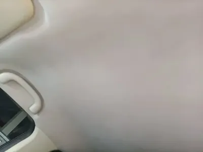 NETA Neta V