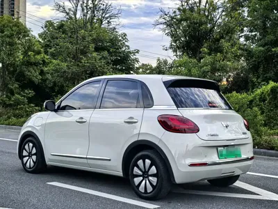 Wuling Bingo