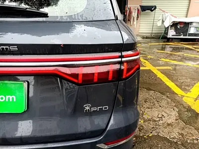 BYD Pro New Energy