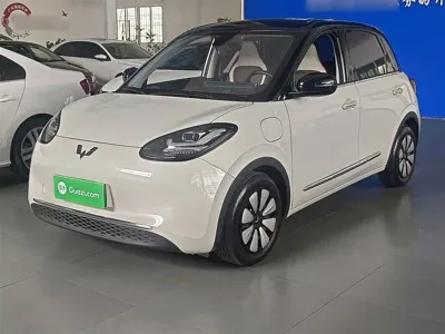 Wuling Bingo