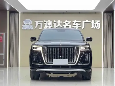Hongqi 红旗金葵花国耀