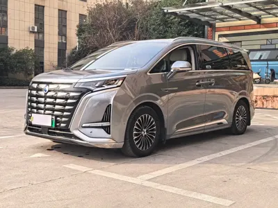 Denza Denza D9