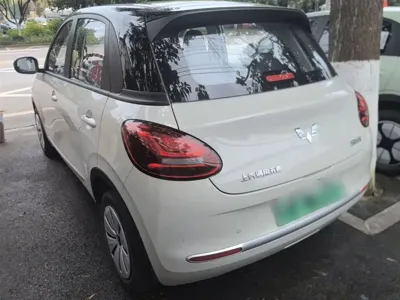 Wuling Bingo