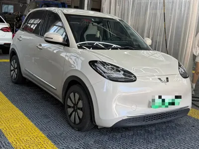 Wuling Bingo