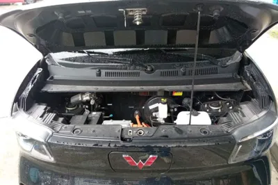 Wuling Zhiguang New Energy