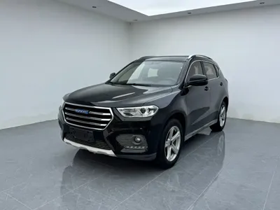 Haval H2