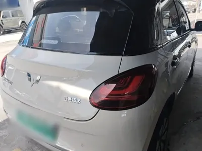 Wuling Bingo