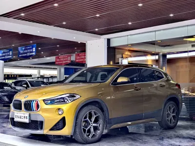 BMW X2 (Import)