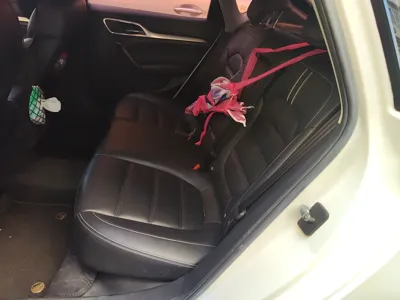 MG 6