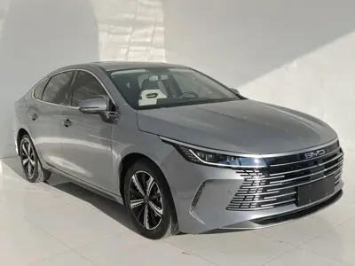 BYD Destroyer 05