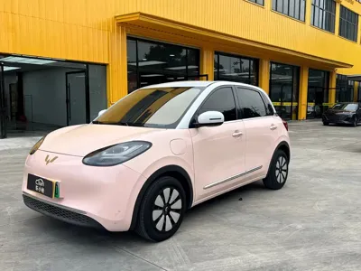 Wuling Bingo