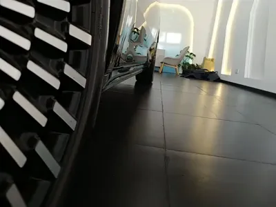 Zeekr 009