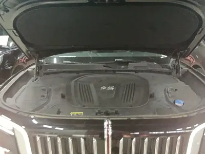 Hongqi Hongqi E-HS9