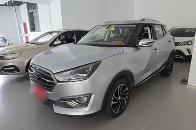 Zotye T300