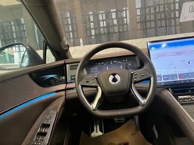 Denza Denza Z9