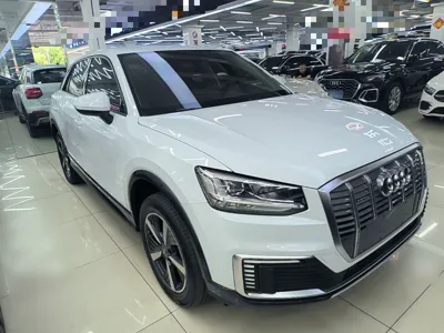 Audi Q2L e-tron