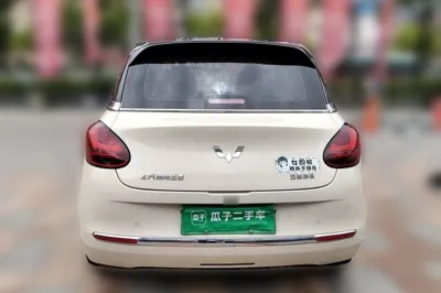 Wuling Bingo