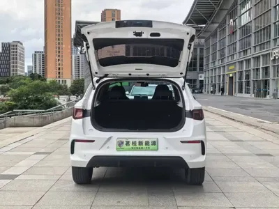 BYD e2