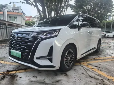 Denza Denza D9