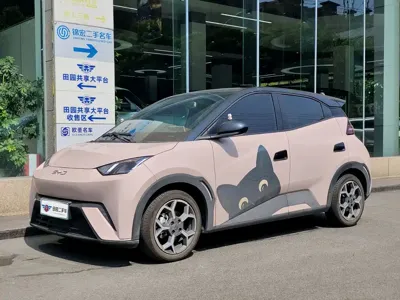 BYD Seagull
