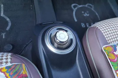 Wuling Bingo