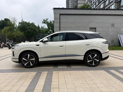 BYD 海狮06
