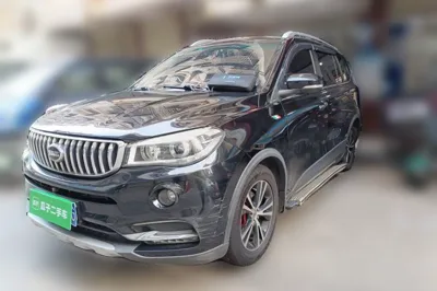 SWM X7