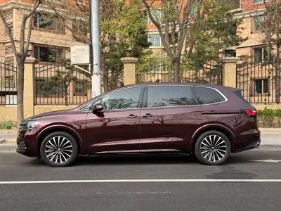 Volkswagen Viloran